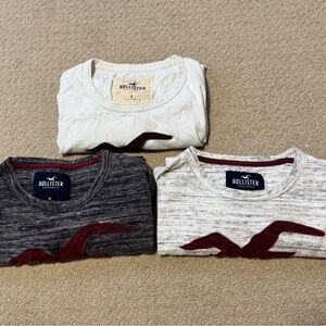 Hollister Short Sleeve Tees - White, Gray, and ash grey